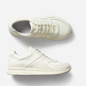 Everlane court sneakers